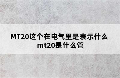 MT20这个在电气里是表示什么 mt20是什么管